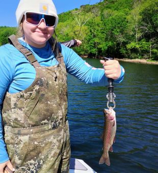 Beautiful rainbow trout from Branson MO waters!