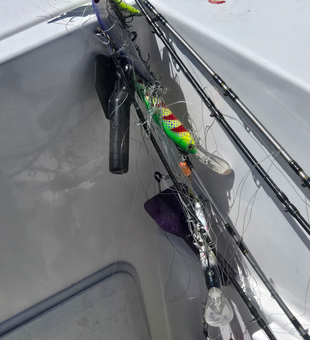 Ready for action on Lake Erie waters!