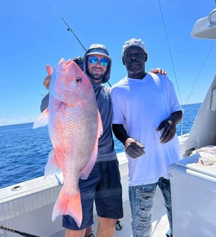 Inshore Action Clearwater FL