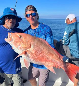 Clearwater Snapper from Offshore