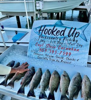 Get hooked up on our Islamorada Fishing Charters