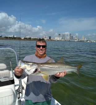 Snook season in full swing