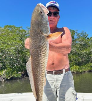 St. Petersburg fishing views