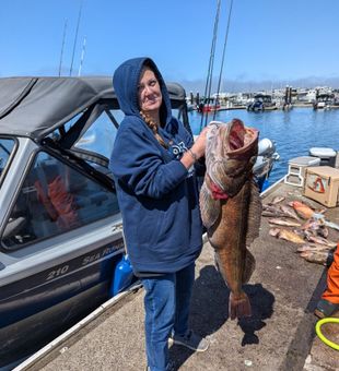 Winchester Bay fishing charters in action