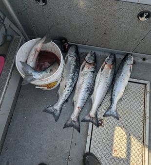 Explore Winchester Bay’s nearshore waters and get ready for an exciting day chasing Oregon’s coastal fish!