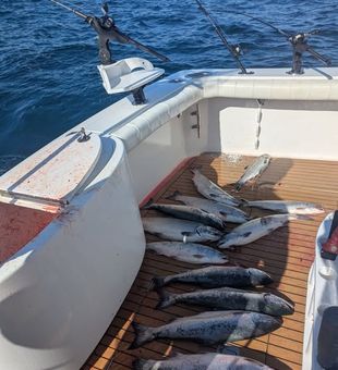 Just beyond the shoreline, the Pacific offers a world of fishing opportunities. Cast off from Winchester Bay and see what’s biting!