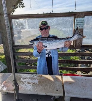 One Salmon at a time - Roseburg, OR.
