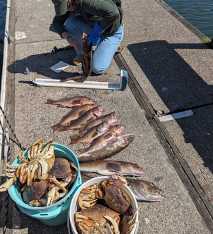 Catch Fish & Crabs in Winchester Bay