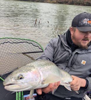 Beautiful rainbow trout from Roseburg Oregon waters!