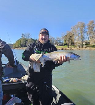 Fresh salmon catch on the waters of Roseburg!