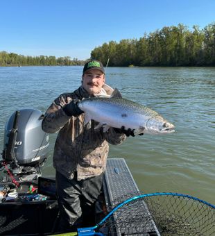 Bright Chinook catch on a calm Tillamook morning.