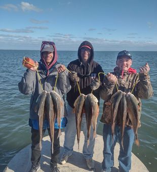 Reeling in Reds at SPI