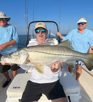 Giant Snook Fishing FL