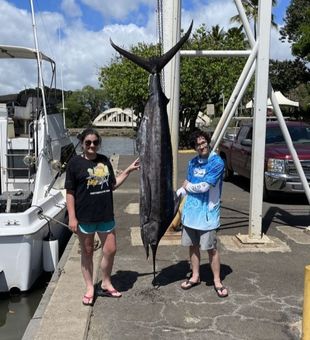 Reeling in Striped Marlin in Haleiwa's deep sea!