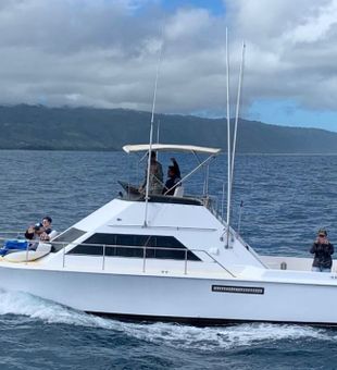 33' ft Hatteras Boat