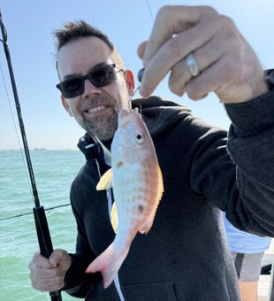 Nice lane snapper from Fort Myers waters!