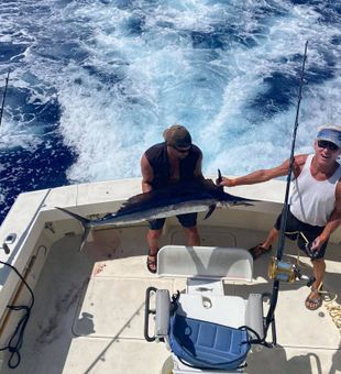 Blue Marlin strike in Kona