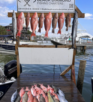 Destin's Finest Fishing Adventures!