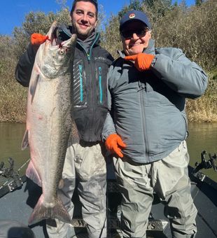 Beautiful Port Orford Chinook salmon makes for perfect day!