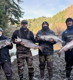 Port Orford Coho and Chinook salmon success!
