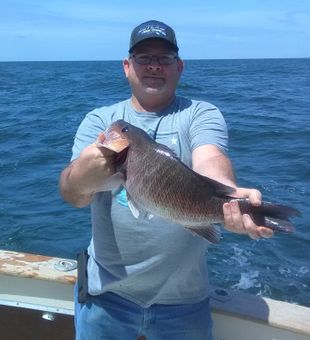 Hook of the day!