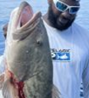 Fish Junkies Fishing Charters