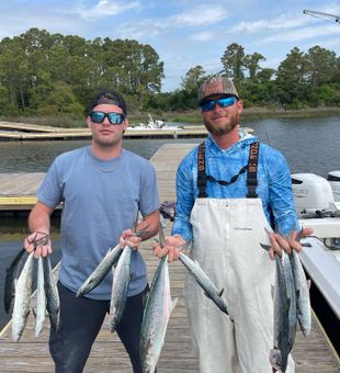 Oak Island pier catch of the day