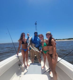 Oak Island: where memories bite back