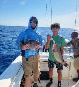 Oak Island gag grouper and grey triggerfish success!