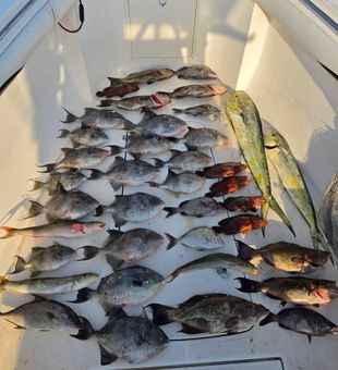 Outstanding Oak Island mixed bag with grouper and mahi!