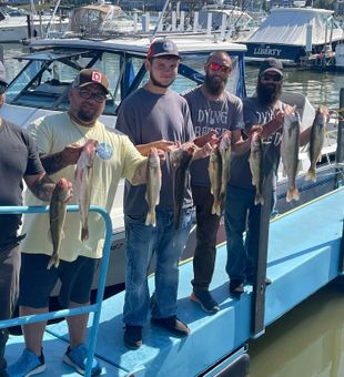 Outstanding walleye action from Port Clinton OH!