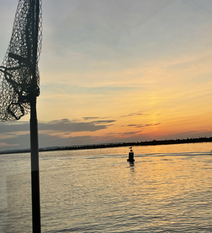 Perfect evening for jigging and drift fishing. Cloudy skies rolling in but still productive waters.
