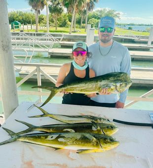 Epic mahi mahi haul on an offshore fishing trip