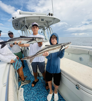 Nice cobia action today using deep sea trolling techniques!