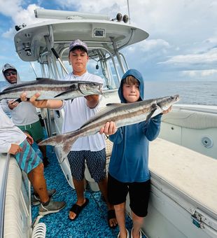 Couple short cobias released to grow a bit, 