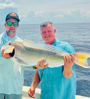 Vero Beach Golden Tilefish success