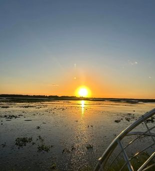 Swamp Mode, Gator hunt! - Vero Beach, Florida.