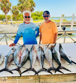 Florida fishing King Mackerel haul