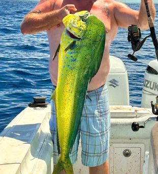 Vibrant Mahi Mahi catch Florida
