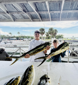 Nice Mahi Mahi action today using deep sea trolling techniques!