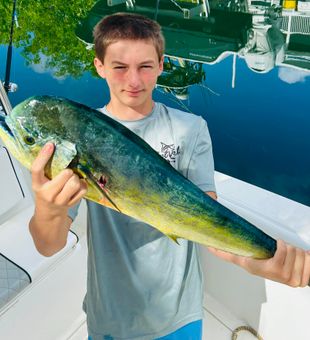 Vero Beach Mahi Mahi fishing
