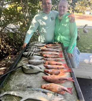 Epic mixed snapper box with lane snapper, mangrove snapper, and sheepshead
