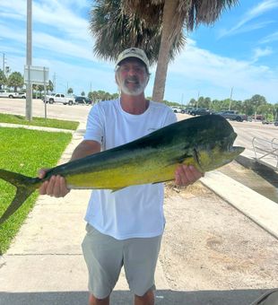 Beautiful Vero Beach mahi mahi caught today!