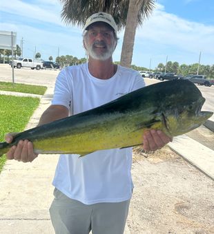 Beautiful Vero Beach mahi mahi makes for perfect fishing!