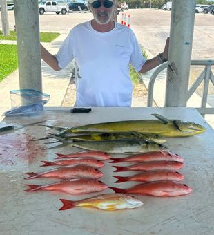 Outstanding mahi mahi and snapper haul in Vero Beach!