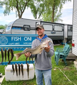 Big walleye catch from Lake Erie fishing charter