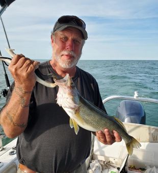 Solid walleye catch on lake fishing charter