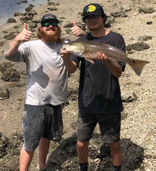 Discover Hollywood's Fishing Paradise, redfish