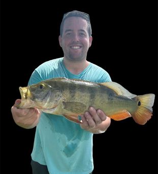 Ultimate Hollywood Fishing Peacock Bass