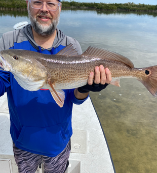 Beautiful Bayport redfish makes for an amazing catch!